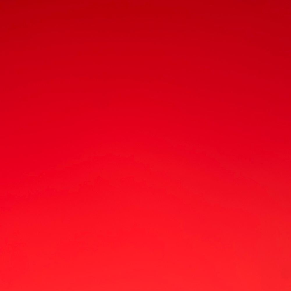 Meet your Posher, Sadie